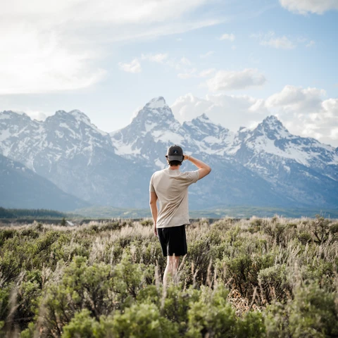 Image by Jonah Brown
